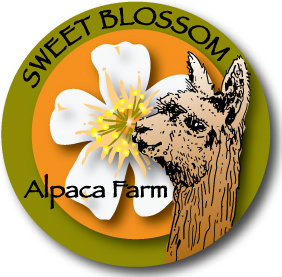 Sweet Blossom Alpacas