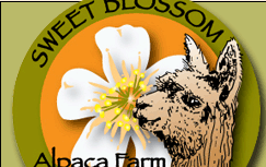 Sweet Blossom Alpaca Farm